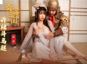 XSJ-142 กำลังภายในของ Ma Chao และ Xu Chu