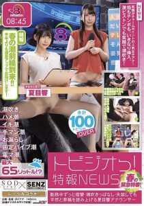 นัตสึเมะ ฮิบิกิ เย็ดเสียวหี กะหรี่ในคราบนักข่าว STARS-547
